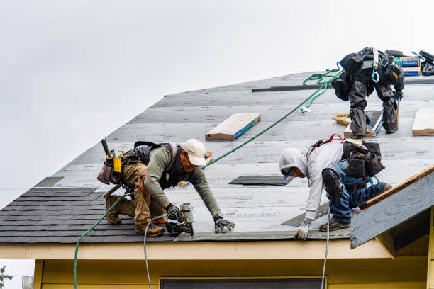 Professional Flat Roof Repair technician working in Edinburgh, IN